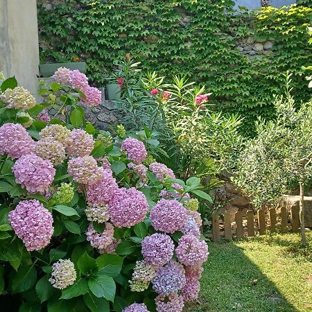르 비강 Les Glycines B&B 외부 사진