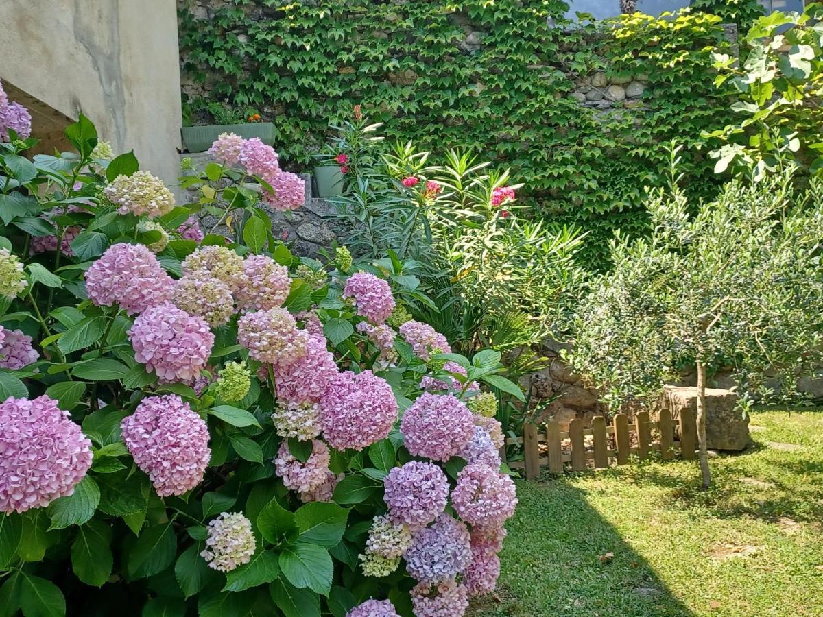 르 비강 Les Glycines B&B 외부 사진